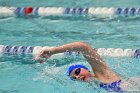 Swimming & Diving vs RWU  Swimming & Diving vs Roger Williams University. - Photo by Keith Nordstrom : Wheaton, Swimming